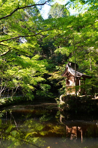 20170514_一条寺 (183)