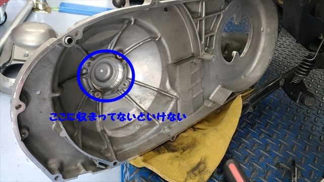 スカブ (2)