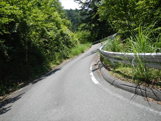 20160618_砥峰林道 (26)_R
