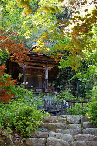 20170514_一条寺 (96)