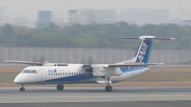 20161120_琴と競泳 (48)_R