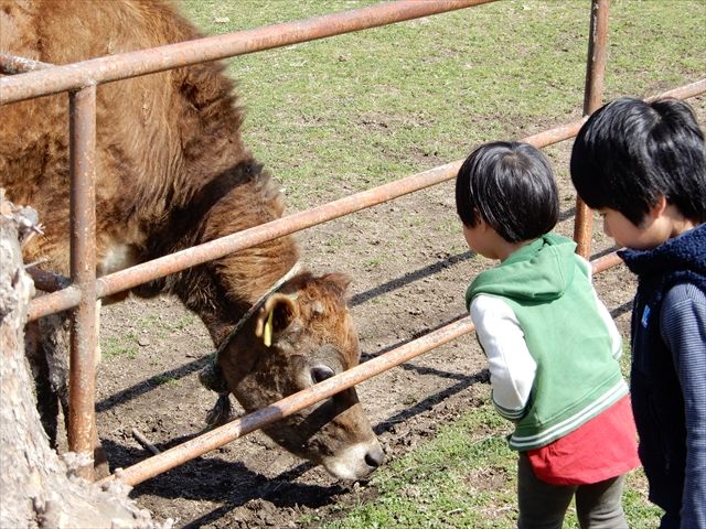 20180318_小野ツーリング2 (15)_R
