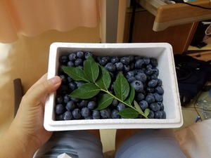 20170705_210225