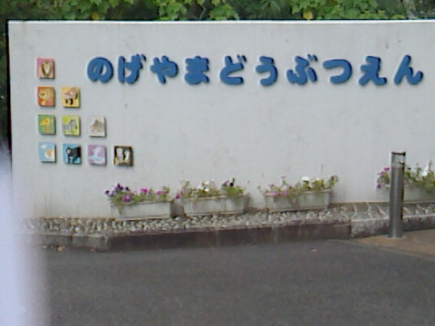 x06