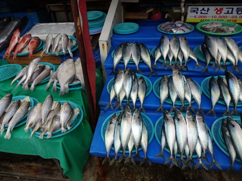 韓国　ハングル　チャガルチ　市場　フリー　素材　写真