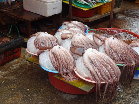 韓国　ハングル　チャガルチ　市場　フリー　素材　写真