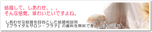 siryou