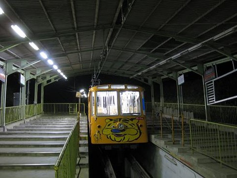 sgsg5