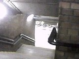 43e19c68.jpg