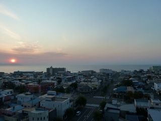 P1150125 (800x600) (320x240)