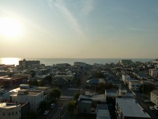 P1150129 (800x600) (320x240)