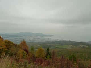 P1150239 (800x600) (320x240)