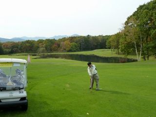 P1150144 (800x600) (320x240)