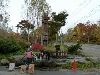 P1150176 (800x600) (320x240)