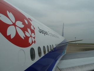 P1150092 (800x600) (320x240)