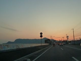 P1150098 (800x600) (320x240)