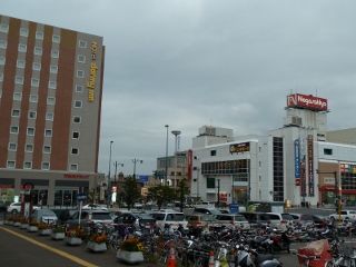 P1150248 (800x600) (320x240)