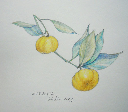 sketch