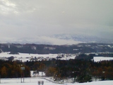 76a77878.jpg