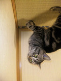 kira20100403-2