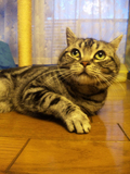 kira20100403-1