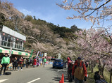 海津大崎2