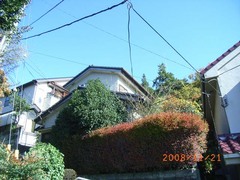 ��Ž����ե�����01