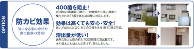 �ɥ��Ӹ���