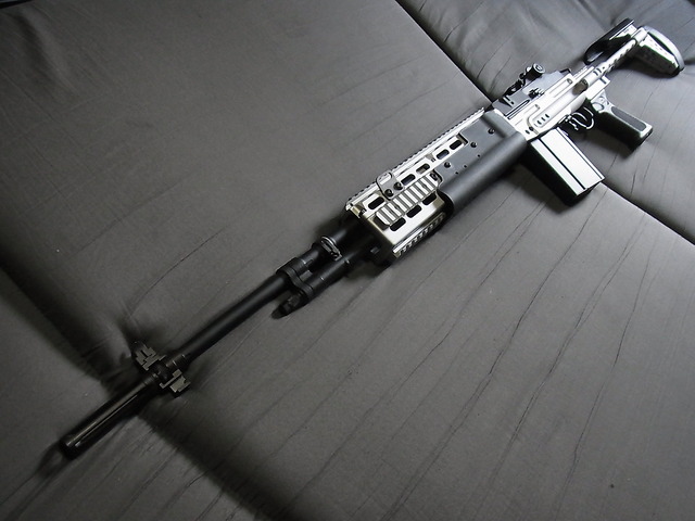 G＆G M14 EBR ロング ペイントカスタム 612g03