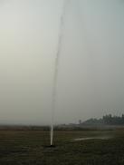 0209d6e0.jpg