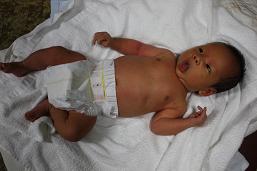 06019aba.jpg