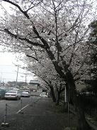 0f3312ef.jpg