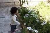b花見なな