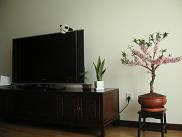 1f04677a.jpg