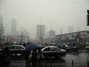 2311a6d7.jpg