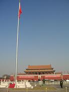 311c66d1.jpg