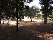 b公園中