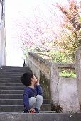 b花見