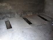 5f274504.jpg
