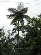 8a342d07.jpg