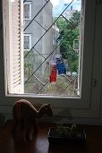bこいのぼり