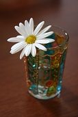 b花