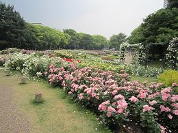 花園