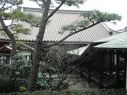 acf2ebe8.jpg
