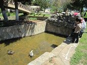 b公園1