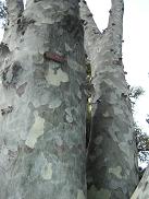 b4b408d8.jpg