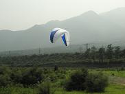 bd5a600f.jpg