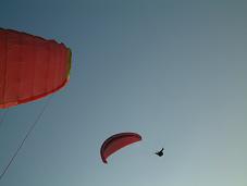 c2d505a5.jpg