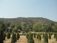 c5276981.jpg