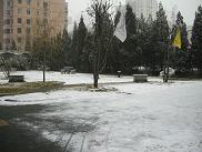 ca827b76.jpg